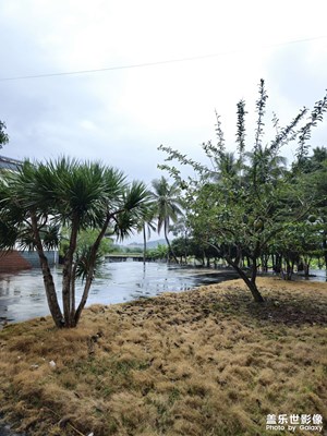 【拍有趣味】+每一粒大米都不應(yīng)該浪費(fèi)＆海南育種