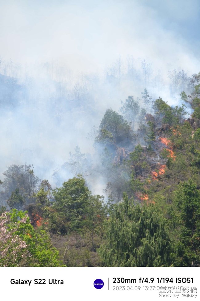 放火燒山，牢底坐穿