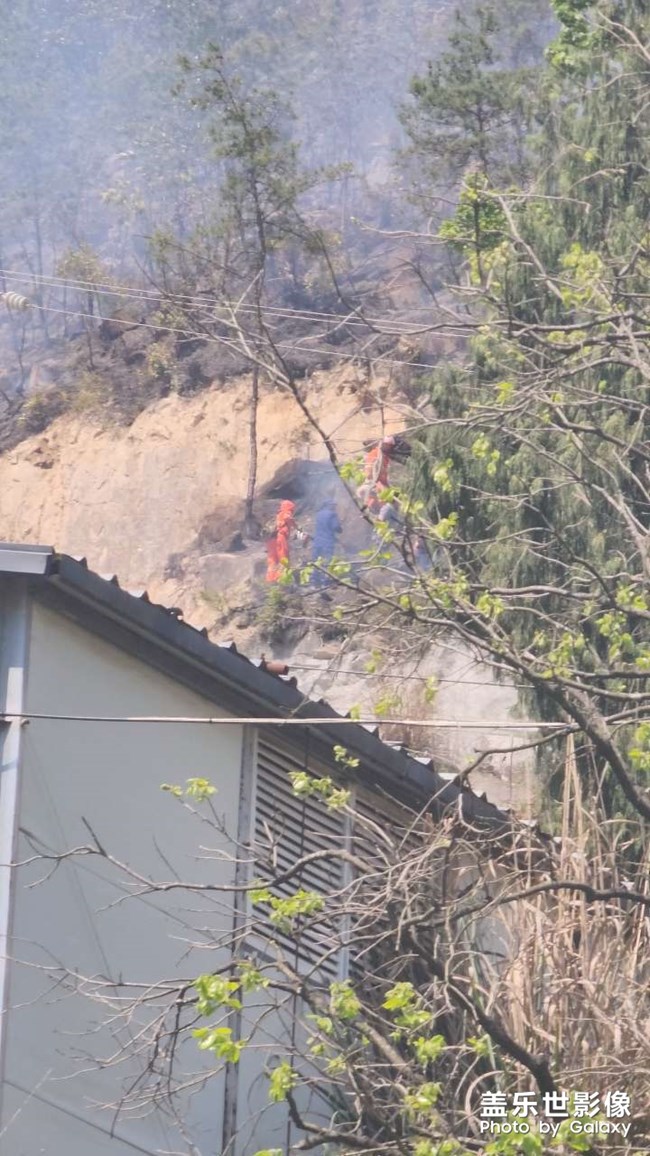 放火燒山，牢底坐穿