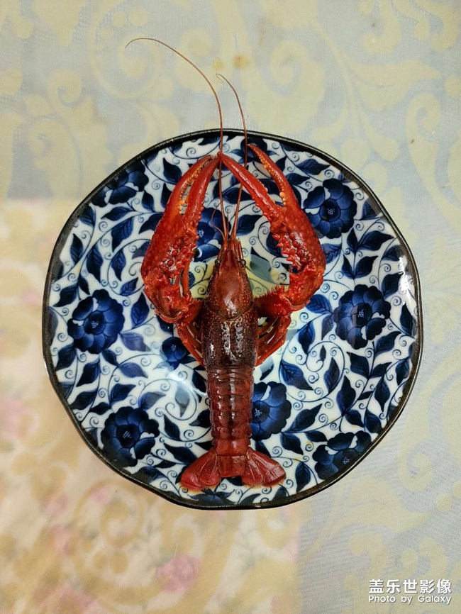 五一偷的浮生閑