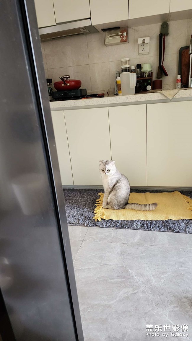 相機(jī)問題，有小點(diǎn)