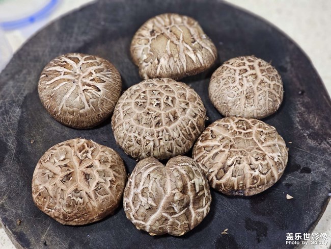 生活就是要多姿多彩