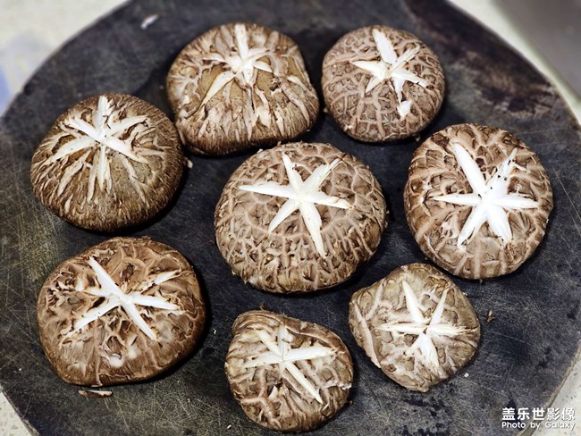 生活就是要多姿多彩