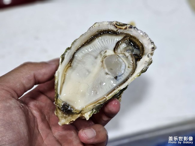 生活就是要多姿多彩