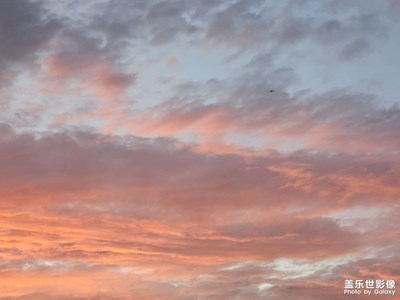 【最美初秋】隨手