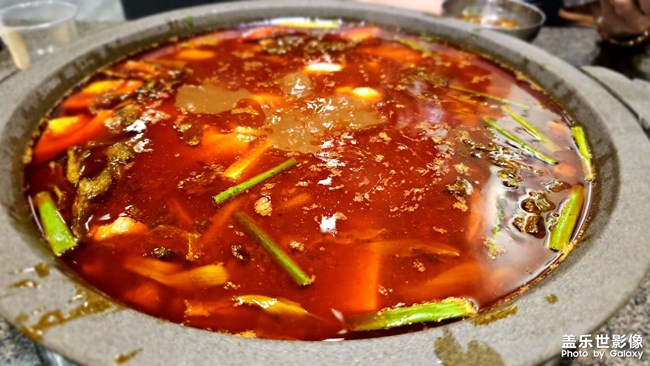 幾張隨拍