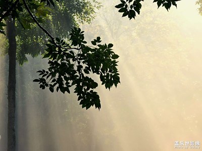 【影像的魅力】美麗的丁達爾現(xiàn)象