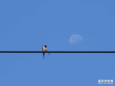 【快樂隨拍】對(duì)月梳妝