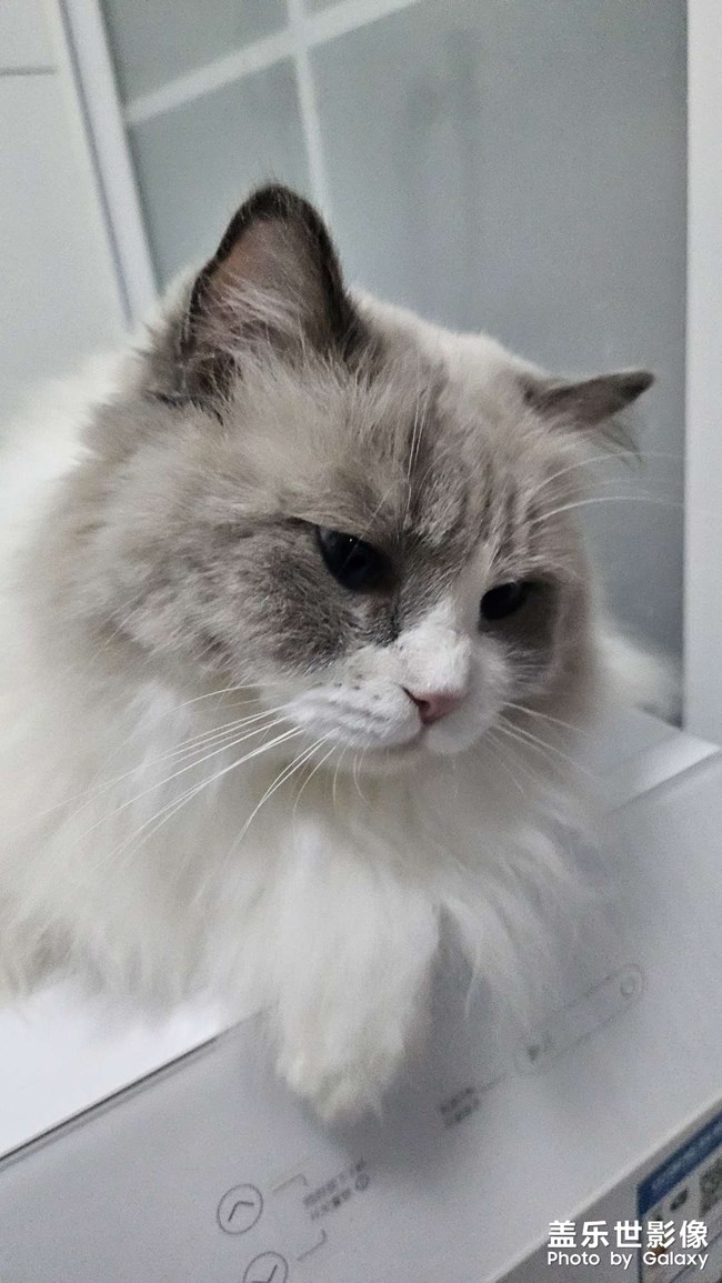 快樂隨拍——憨憨小西瓜