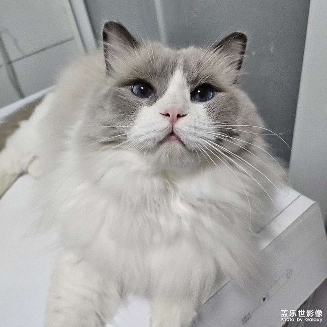 快樂隨拍——憨憨小西瓜