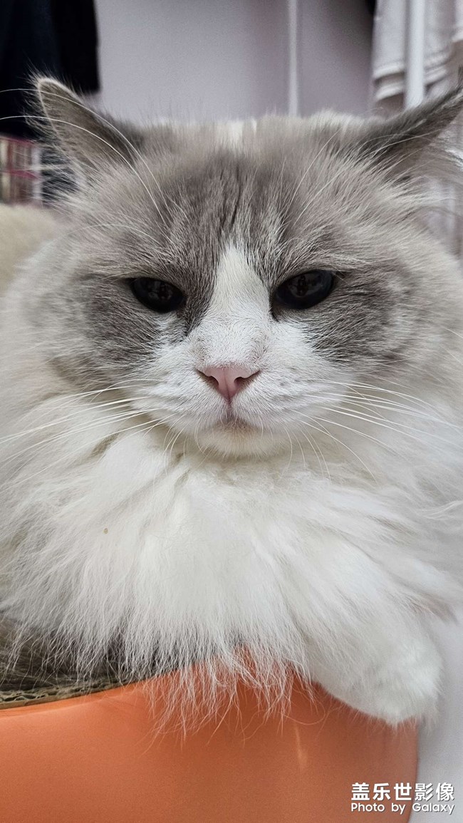 快樂隨拍——憨憨小西瓜